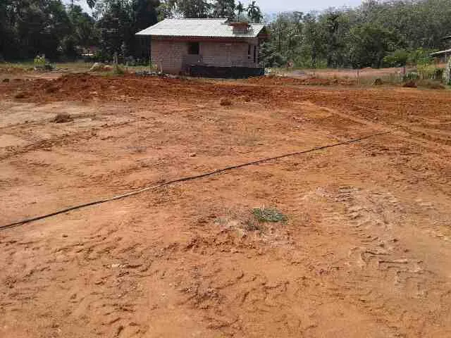 කඑත‍ර  බණ්ඩාරගම පාරේ  තරුණසේවා මාවතේ පිහිටි නිරවුල් බිම් කොටස් - Image 4