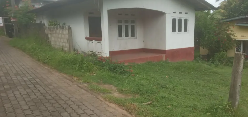 රාගම Police Laneහි පිහිටි නිවස සහ ඉඩම විකිණීමට - Image 4