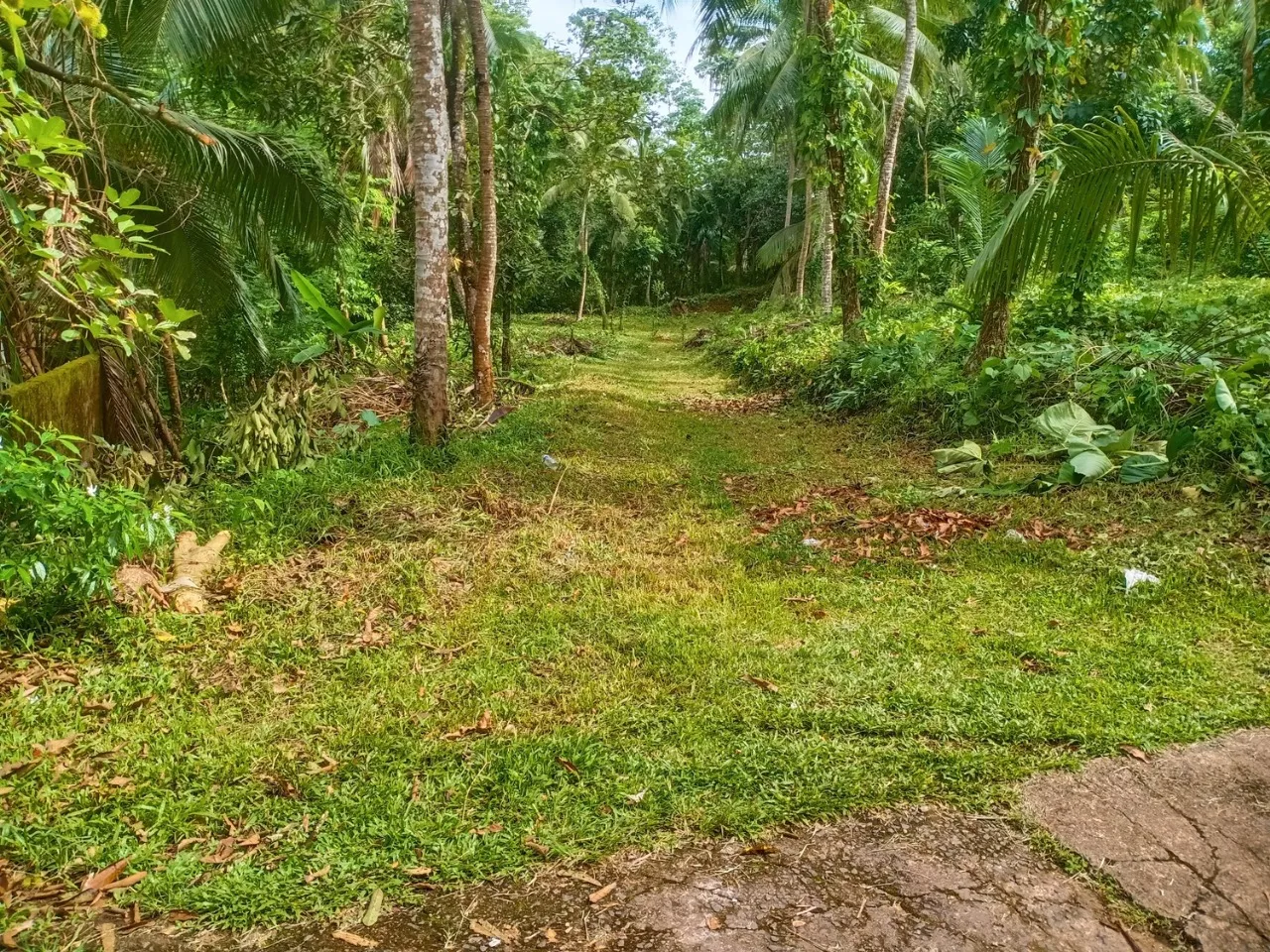 🏡 කළුතර නගරයෙන් කි.මි. 3.4 – හීනටියංගල, මයුර පෙදෙස නිරවුල් ඔප්පු සහිත පර්චස් 70 ඉඩම විකිණීමට - Image 6